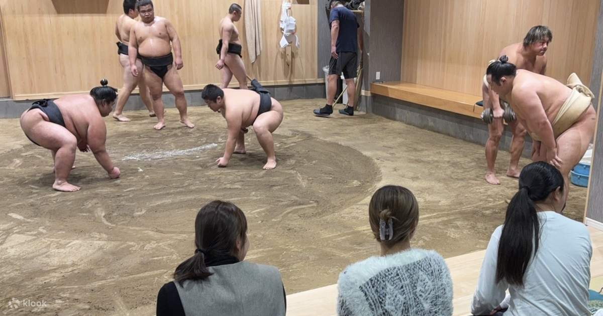 [Tour xem Sumo dành cho khách du lịch quốc tế] Trải nghiệm sumo cận ...